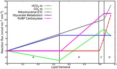 Boosting Biomass Quantity and Quality by Improved Mixotrophic Culture of the Diatom Phaeodactylum tricornutum